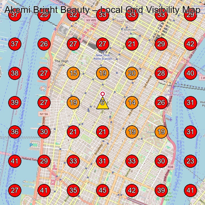 Akemi Bright Beauty GeoGrid visibility map for Facial Spa in New York